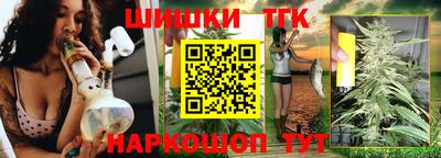мдпв Бердск