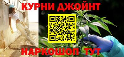 мдпв Бердск