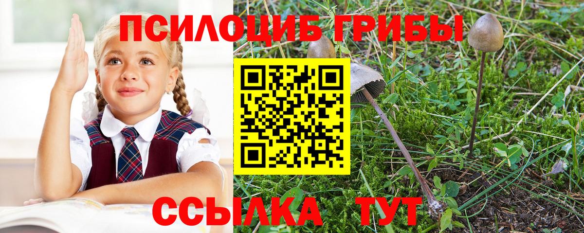 Ачинск  Псилоцибиновые грибы Cubensis  где продают наркотики  Вход с VPN  Псилоцибиновые грибы GOLDEN TEACHER 