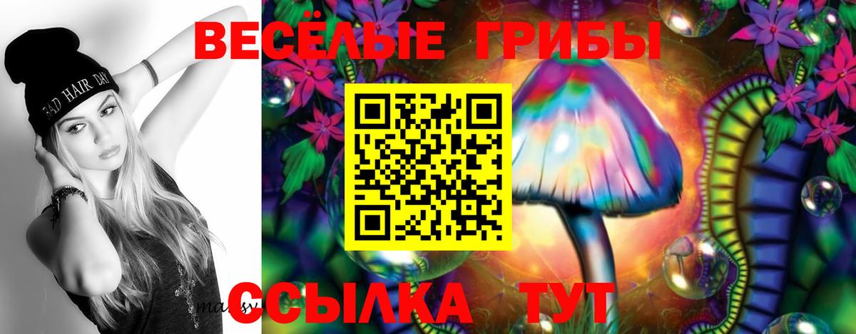 Псилоцибиновые грибы Magic Shrooms Ачинск